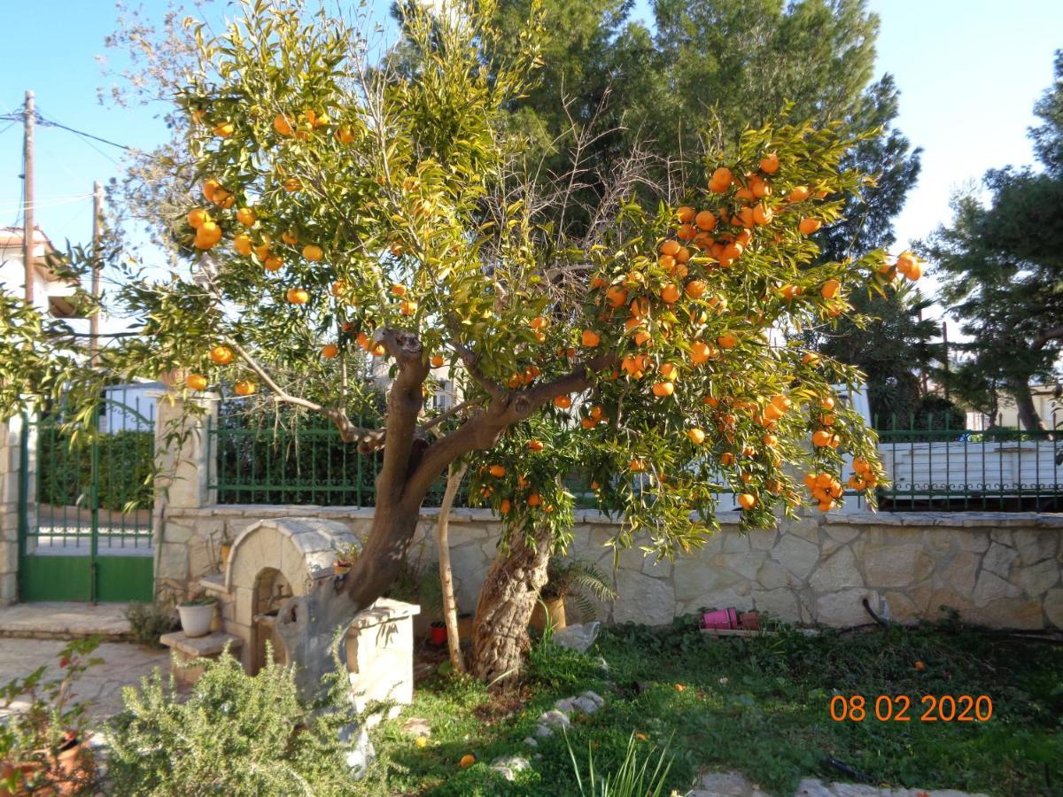 Traditional Guesthouse Asimakis Anifion Exterior foto